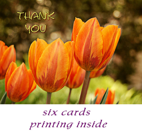 Thank You Cards - Blank or Printed Inside