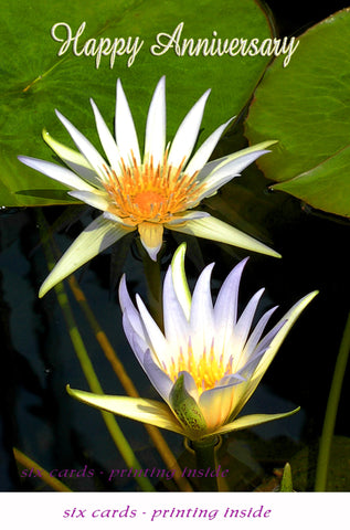 Two Water Lillies - Anniversary