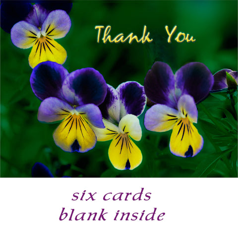 Pansies - Thank You