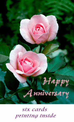 Pink Roses - Anniversary